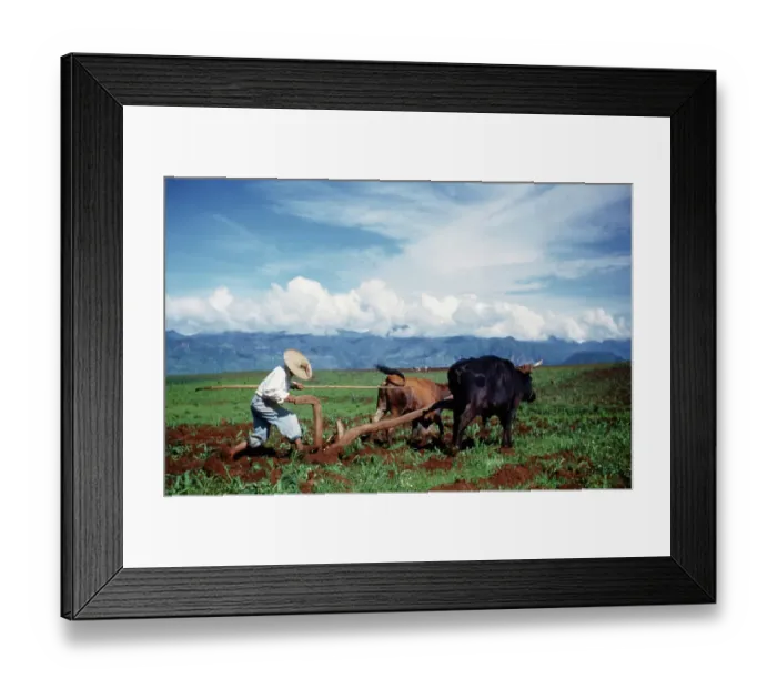 Framed Print : Farming in Mexico Framed Print : Farming in Mexico