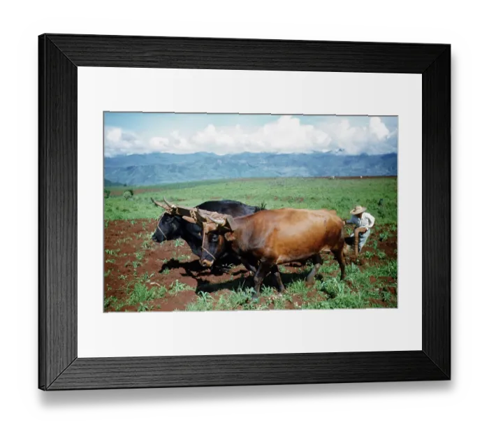 Framed Print : Farming in Mexico Framed Print : Farming in Mexico