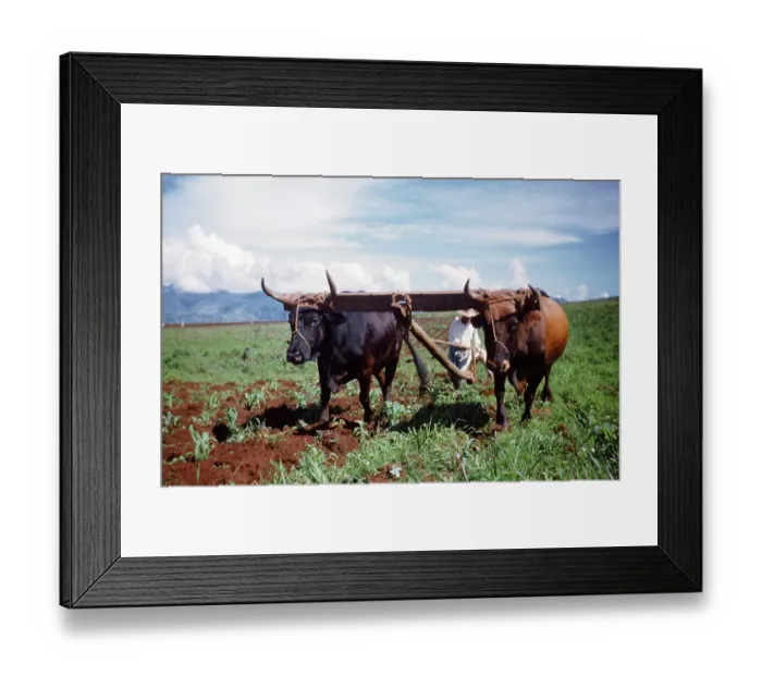Framed Print : Farming in Mexico Framed Print : Farming in Mexico