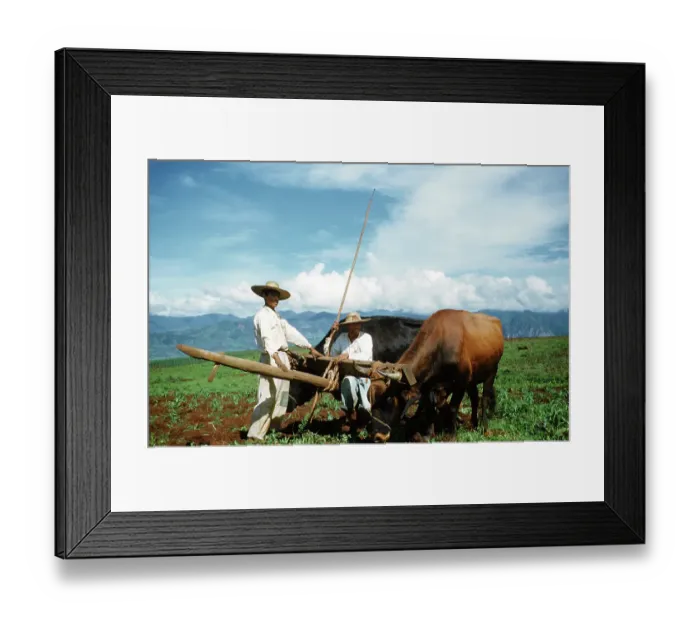 Framed Print : Farming in Mexico Framed Print : Farming in Mexico