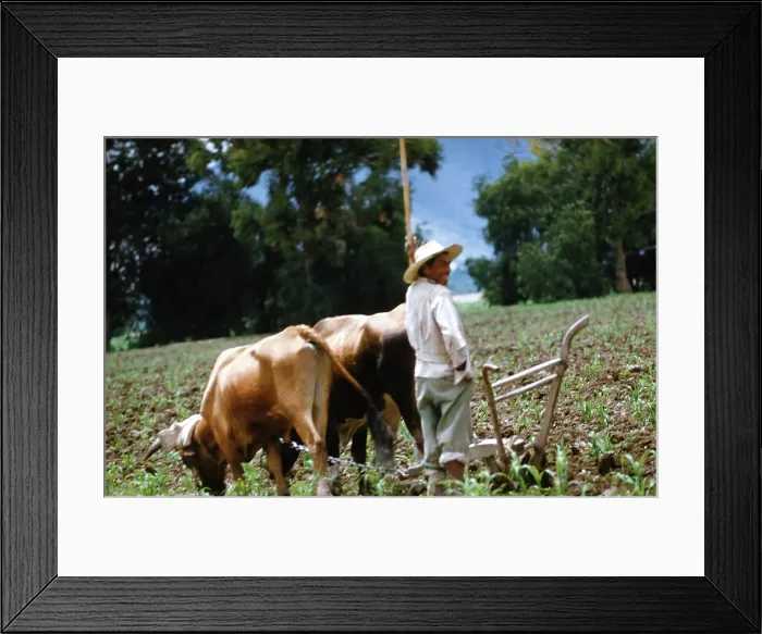 Framed Print : Farming in Mexico Framed Print : Farming in Mexico