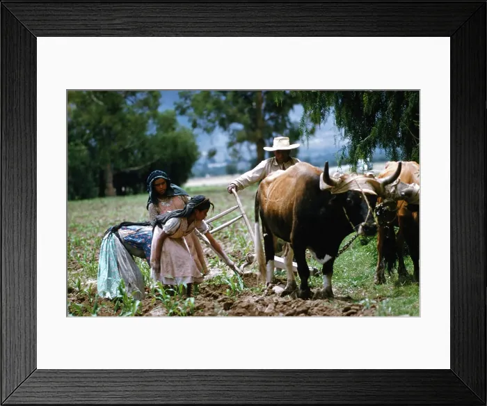 Framed Print : Farming in Mexico Framed Print : Farming in Mexico