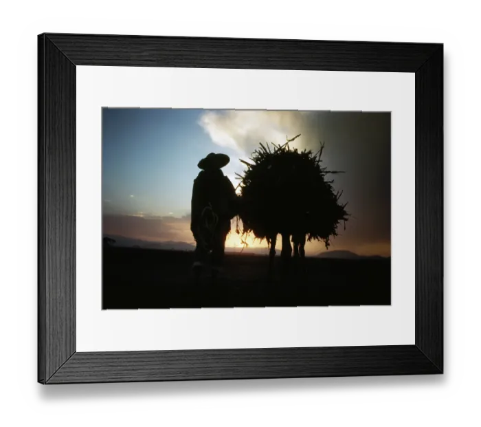 Framed Print : Farming in Mexico Framed Print : Farming in Mexico