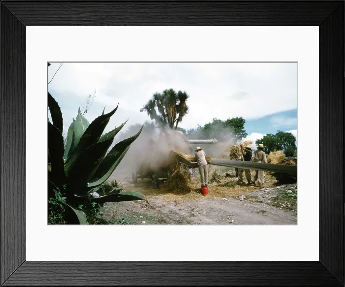 Framed Print : Farming in Mexico Framed Print : Farming in Mexico