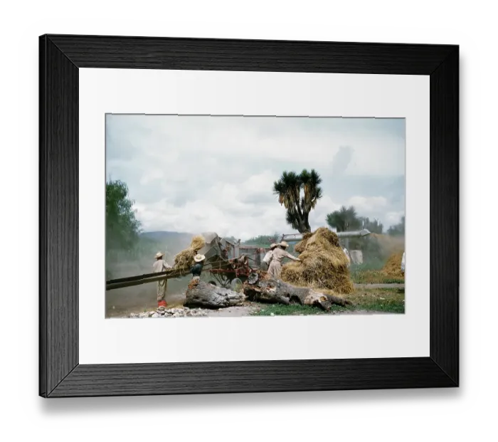 Framed Print : Farming in Mexico Framed Print : Farming in Mexico