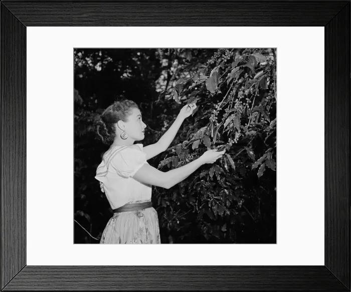 Framed Print : San Jose, Costa Rica Framed Print : San Jose, Costa Rica