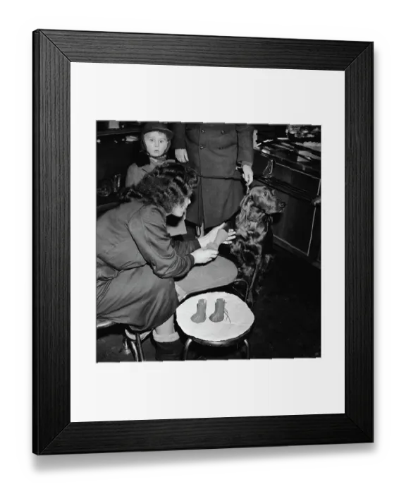 Framed Print : Shoes For Dogs Framed Print : Shoes For Dogs
