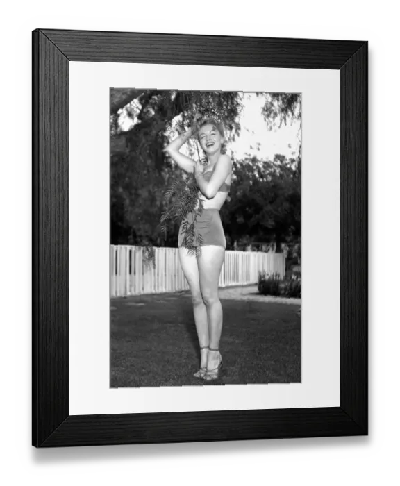 Framed Print : Marilyn Monroe Portrait Framed Print : Marilyn Monroe Portrait