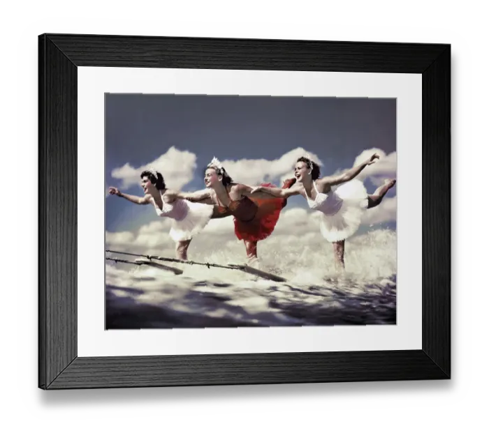 Framed Print : Cypress Gardens Framed Print : Cypress Gardens