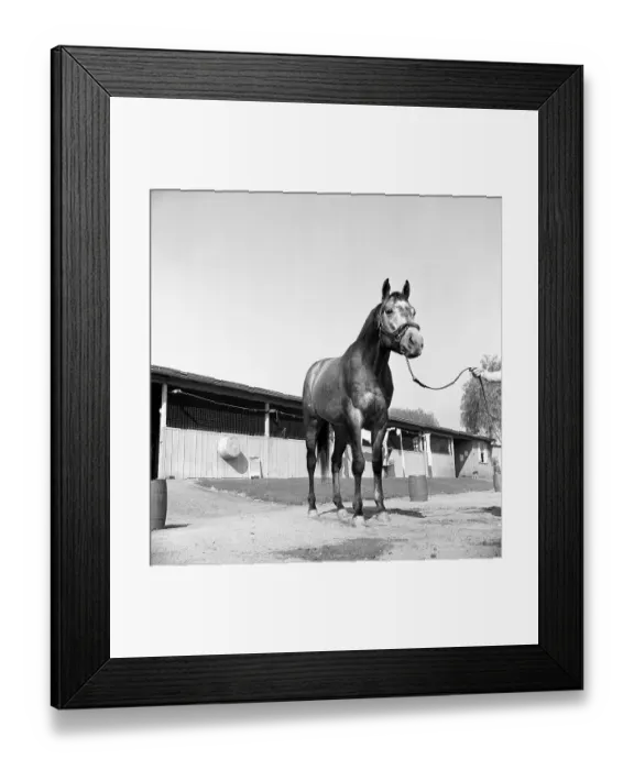 Framed Print : Santa Anita Framed Print : Santa Anita