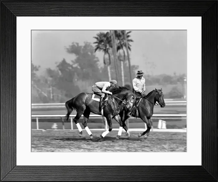 Framed Print : Santa Anita Framed Print : Santa Anita