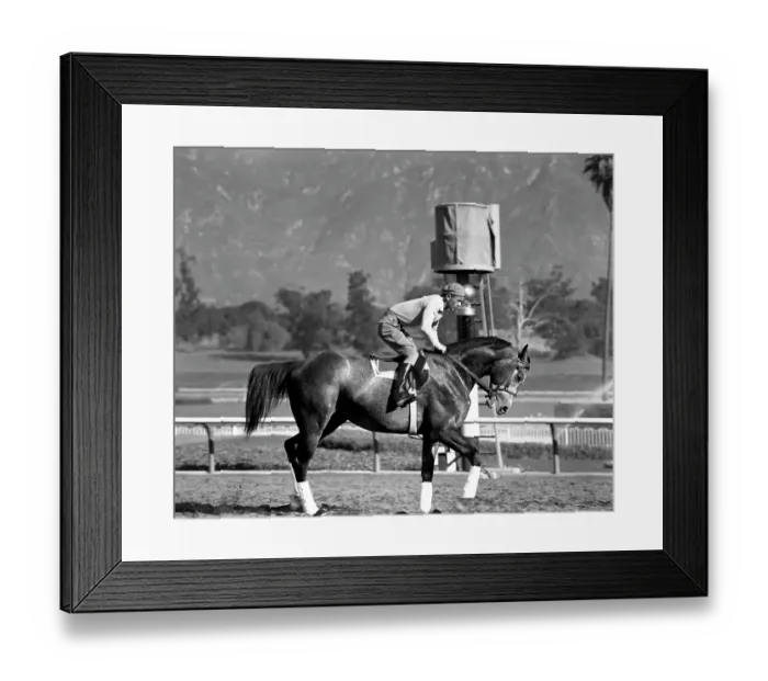 Framed Print : Santa Anita Framed Print : Santa Anita