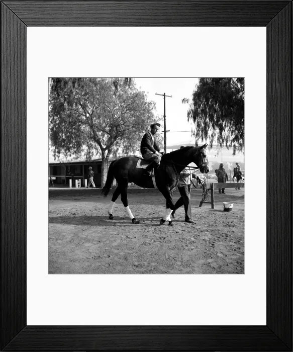 Framed Print : Santa Anita Framed Print : Santa Anita