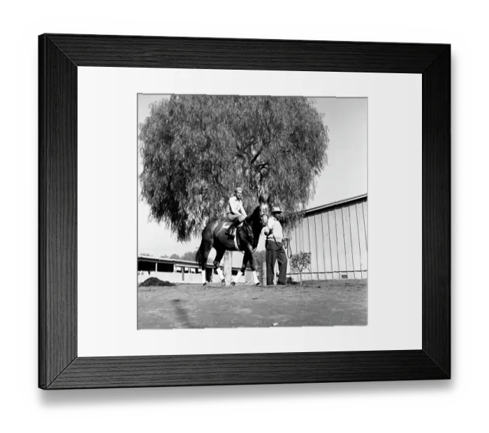 Framed Print : Santa Anita Framed Print : Santa Anita