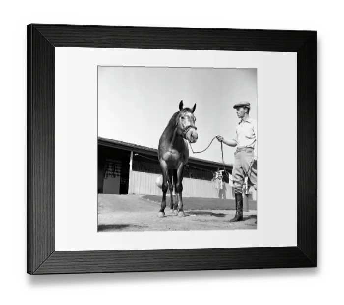 Framed Print : Santa Anita Framed Print : Santa Anita