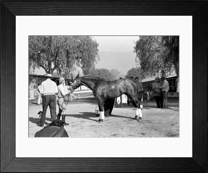Framed Print : Santa Anita Framed Print : Santa Anita