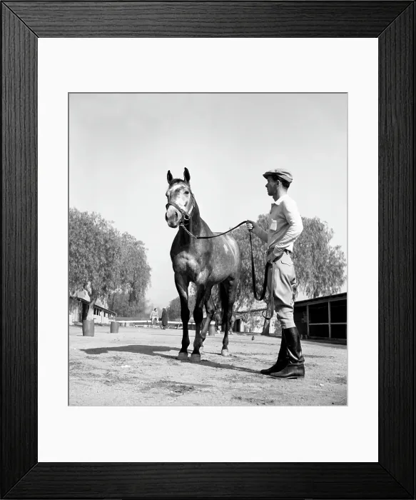 Framed Print : Santa Anita Framed Print : Santa Anita
