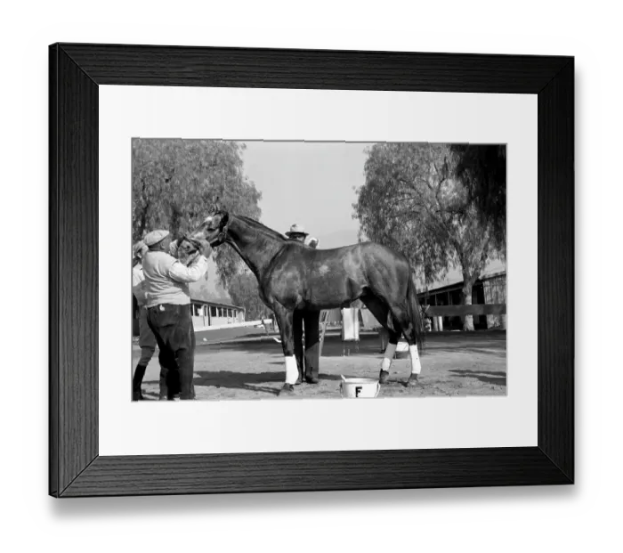 Framed Print : Santa Anita Framed Print : Santa Anita