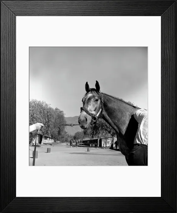 Framed Print : Santa Anita Framed Print : Santa Anita