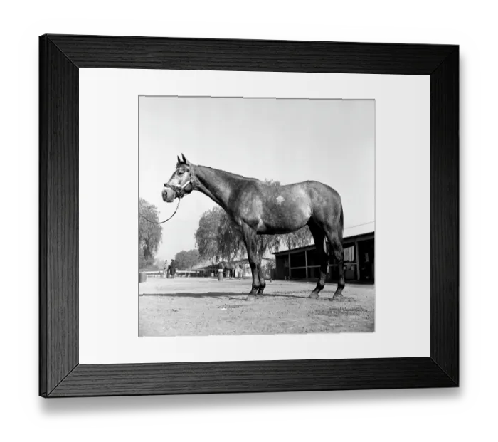 Framed Print : Santa Anita Framed Print : Santa Anita