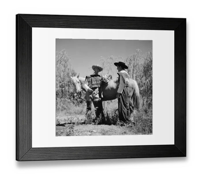 Framed Print : Huaso of Chile Framed Print : Huaso of Chile