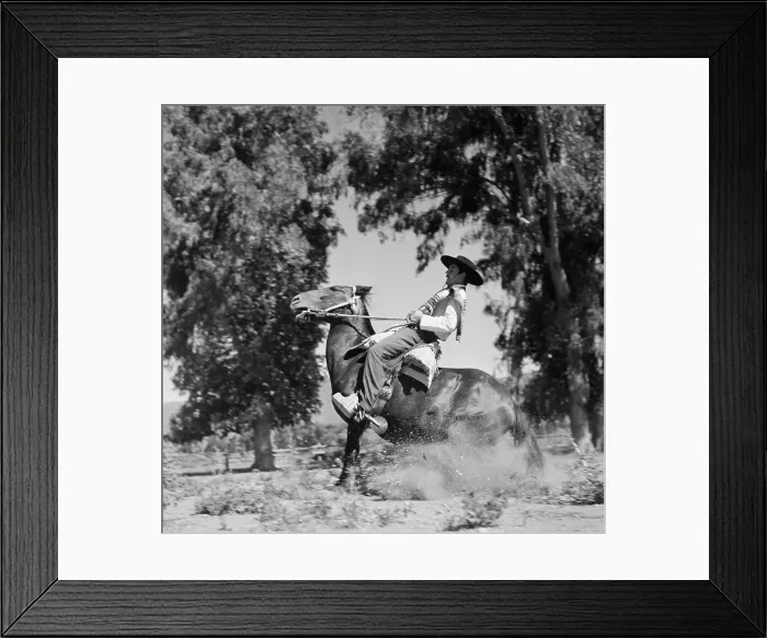 Framed Print : Huaso of Chile Framed Print : Huaso of Chile