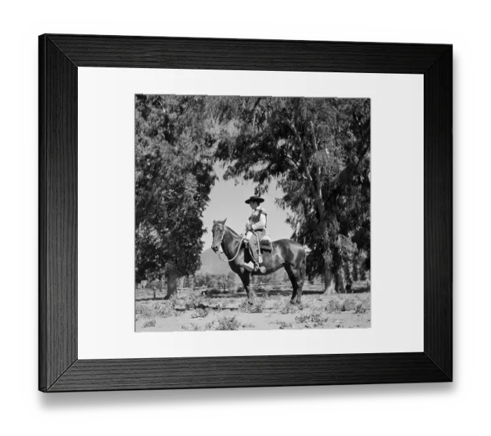 Framed Print : Huaso of Chile Framed Print : Huaso of Chile