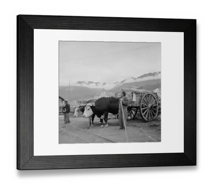 Framed Print : Patagonia, Argentina Framed Print : Patagonia, Argentina