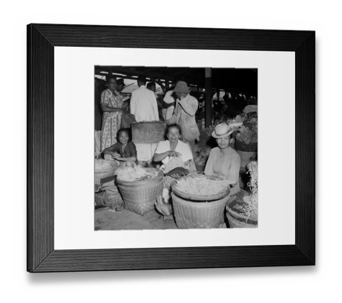 Framed Print : Suriname Diversity Framed Print : Suriname Diversity