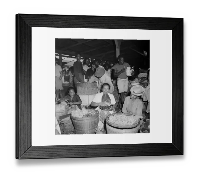 Framed Print : Suriname Diversity Framed Print : Suriname Diversity