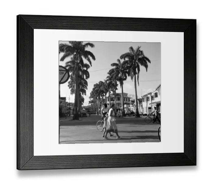 Framed Print : Suriname Diversity Framed Print : Suriname Diversity