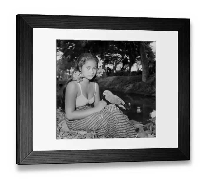 Framed Print : Suriname Diversity Framed Print : Suriname Diversity