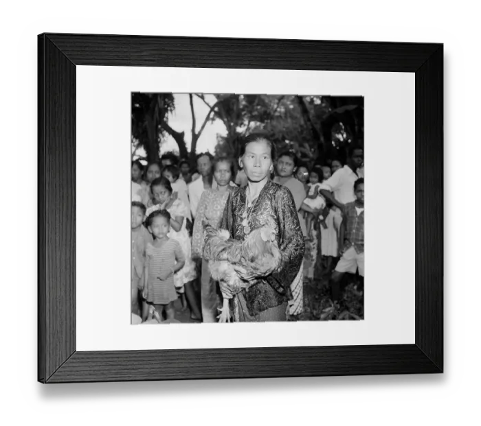 Framed Print : Suriname Diversity Framed Print : Suriname Diversity