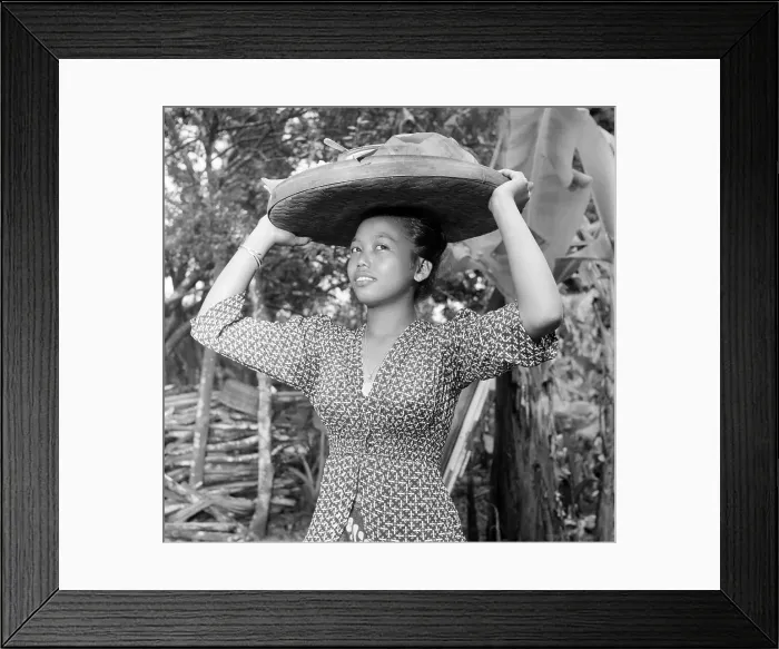Framed Print : Suriname Diversity Framed Print : Suriname Diversity