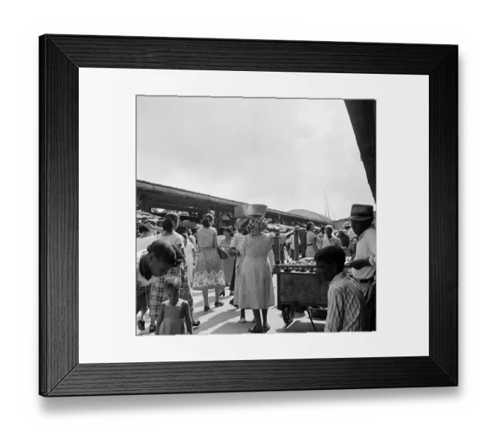 Framed Print : Suriname Diversity Framed Print : Suriname Diversity