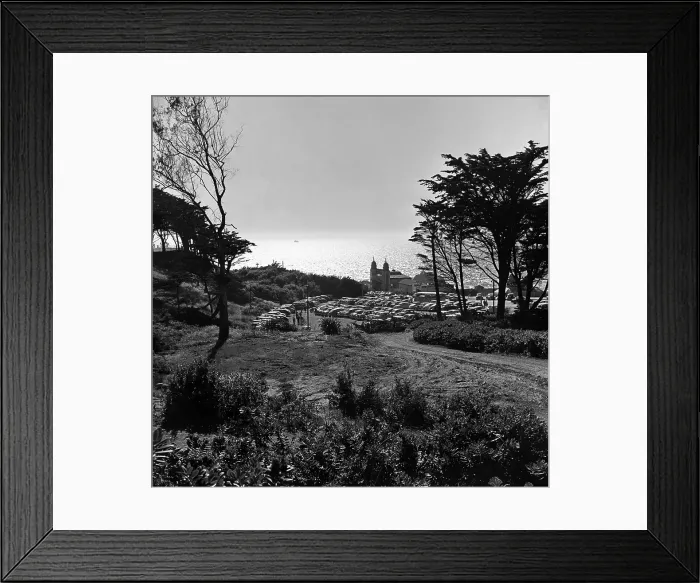 Framed Print : Beautiful San Francisco Framed Print : Beautiful San Francisco