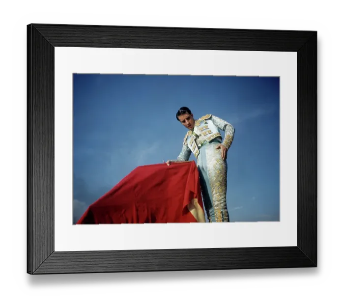 Framed Print : PORTRAIT OF A MATADOR Framed Print : PORTRAIT OF A MATADOR