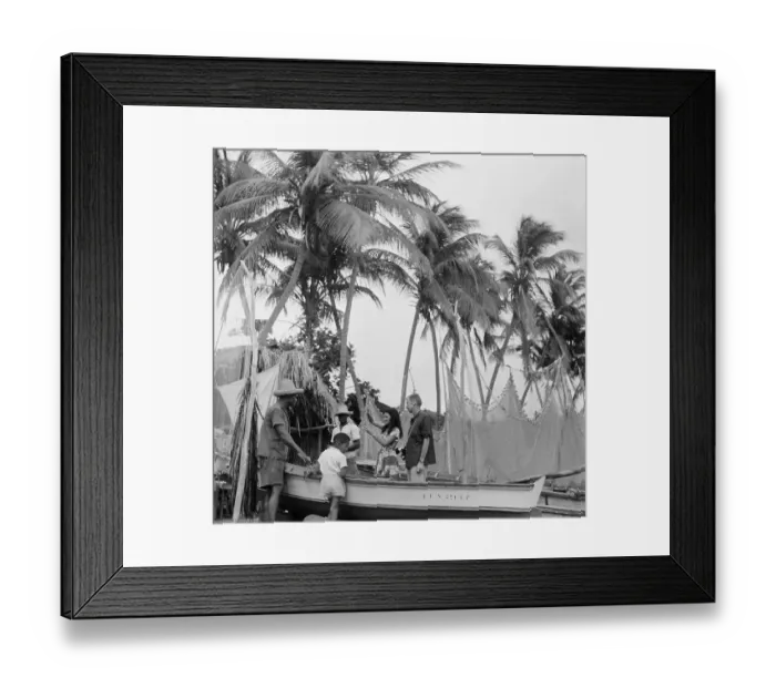 Framed Print : Fort-de-France, Martinique Framed Print : Fort-de-France, Martinique