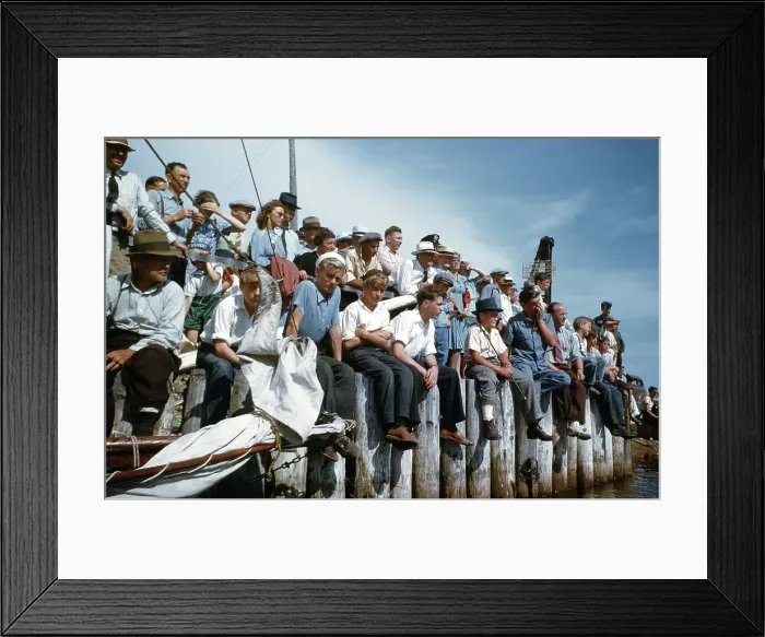 Framed Print : Lumberjack / Logging festival