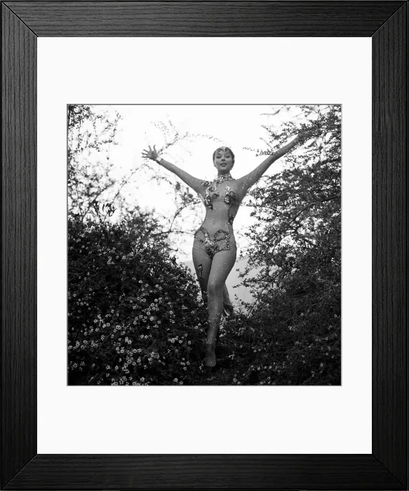 Framed Print : Vikki Dougan Framed Print : Vikki Dougan