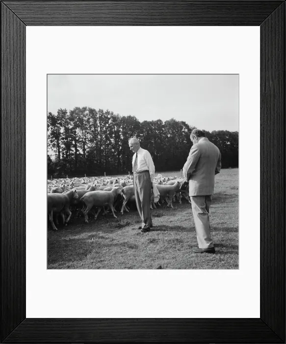 Framed Print : Karsh And Monty Framed Print : Karsh And Monty