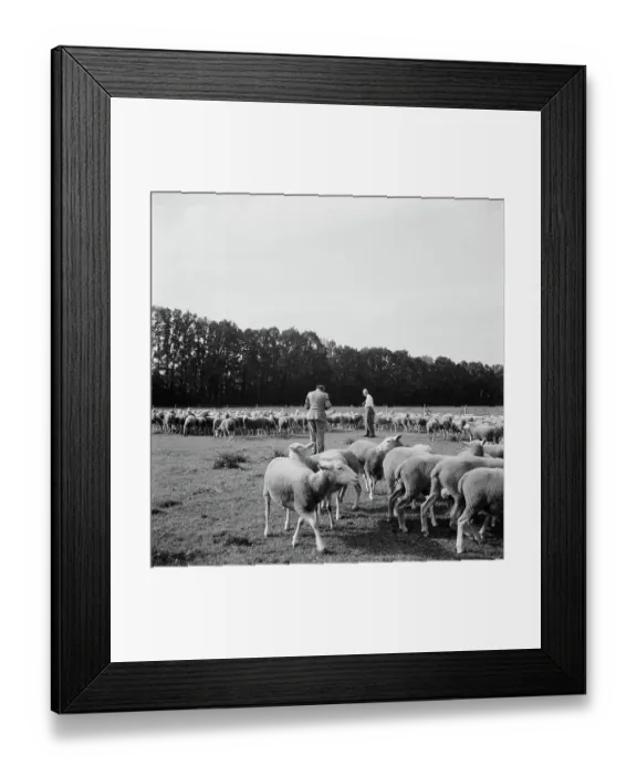 Framed Print : Karsh And Monty