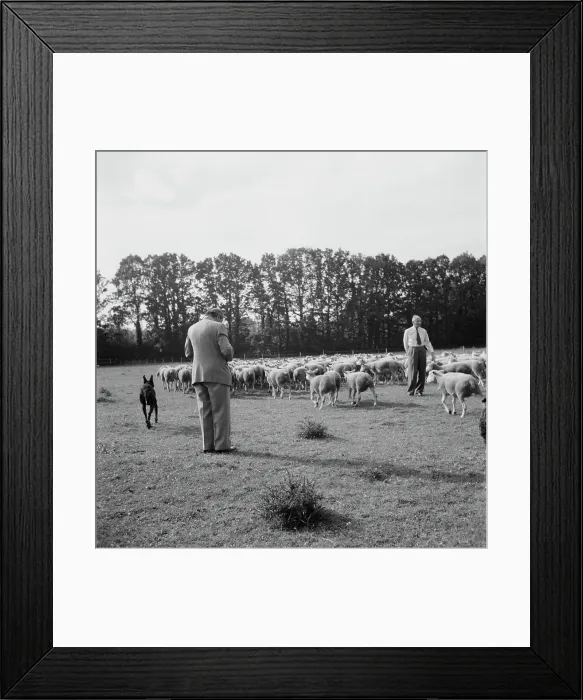 Framed Print : Karsh And Monty Framed Print : Karsh And Monty
