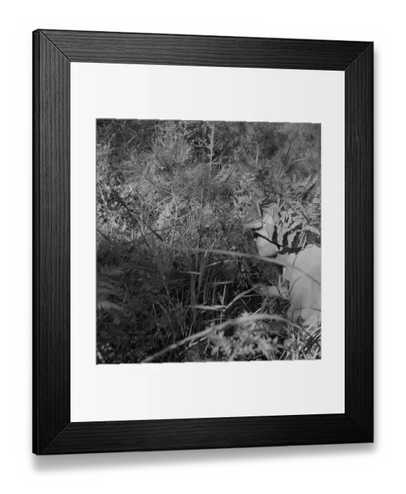Framed Print : Korean War Framed Print : Korean War