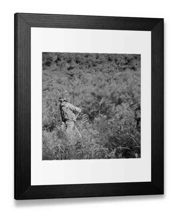 Framed Print : Korean War Framed Print : Korean War