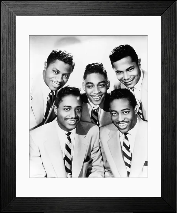 Framed Print : Portrait Of The Flamingos Framed Print : Portrait Of The Flamingos