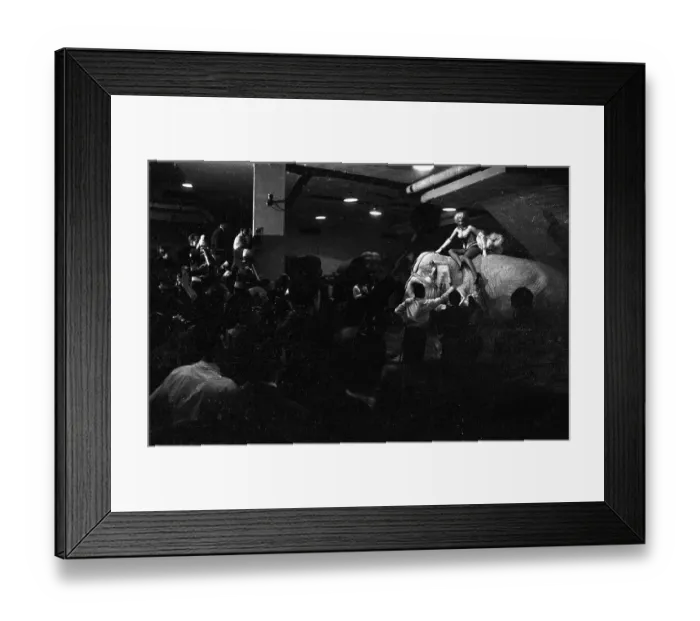 Framed Print : Marilyn Rides A Pink Elephant Framed Print : Marilyn Rides A Pink Elephant