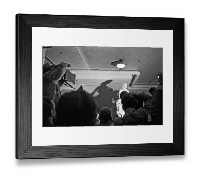 Framed Print : Marilyn Riding A Pink Elephant Framed Print : Marilyn Riding A Pink Elephant