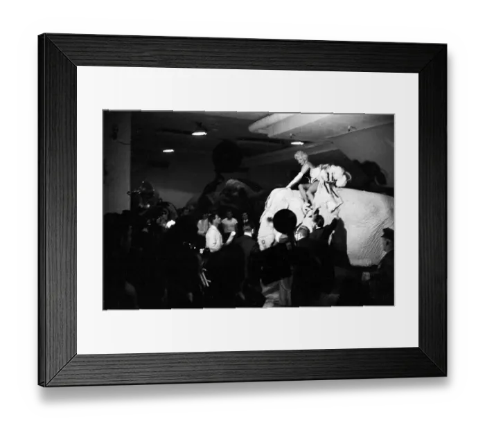 Framed Print : Marilyn Rides A Pink Elephant Framed Print : Marilyn Rides A Pink Elephant