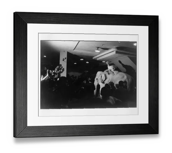 Framed Print : Marilyn Rides A Pink Elephant Framed Print : Marilyn Rides A Pink Elephant